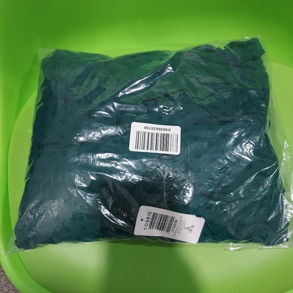 NWT Torrid Green Tea Length Clip Dot Open Back A-Line Dress in Size 2 - 18/20 - Picture 4 of 6